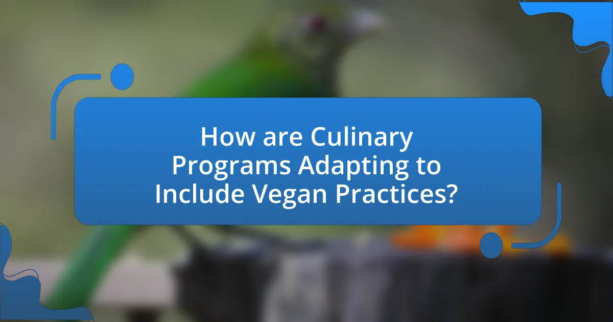 How are Culinary Programs Adapting to Include Vegan Practices?