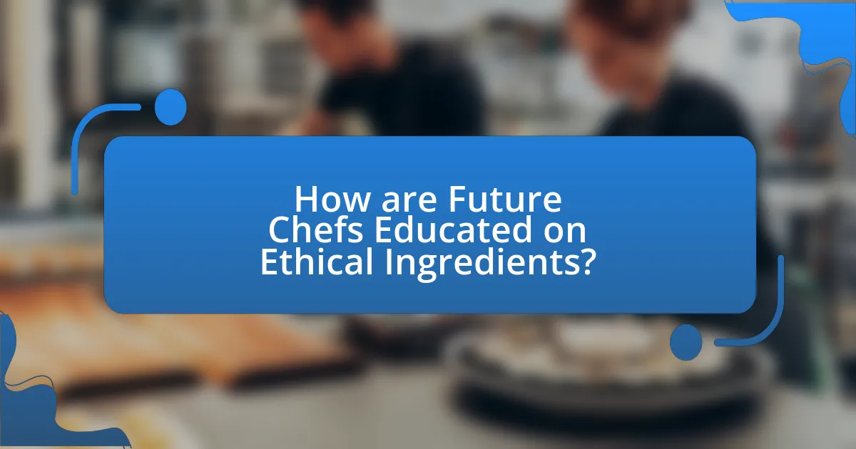 How are Future Chefs Educated on Ethical Ingredients?