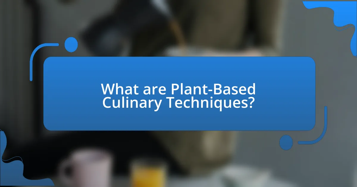 What are Plant-Based Culinary Techniques?