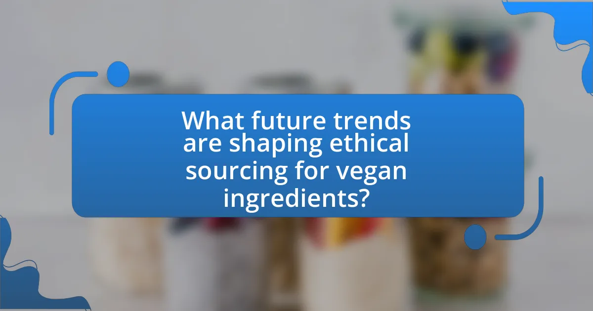 What future trends are shaping ethical sourcing for vegan ingredients?
